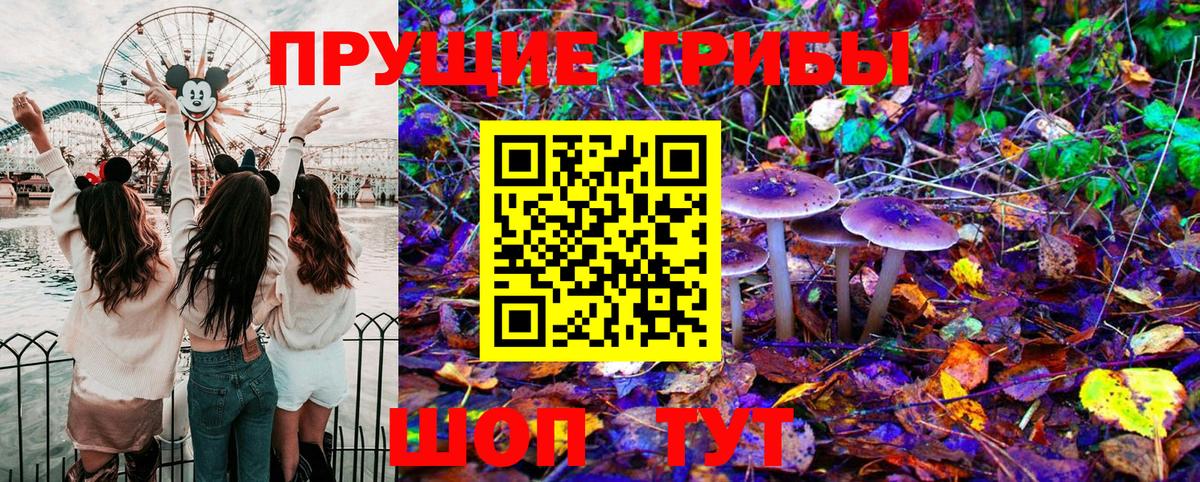 Псилоцибиновые грибы MAGIC MUSHROOMS Бугуруслан